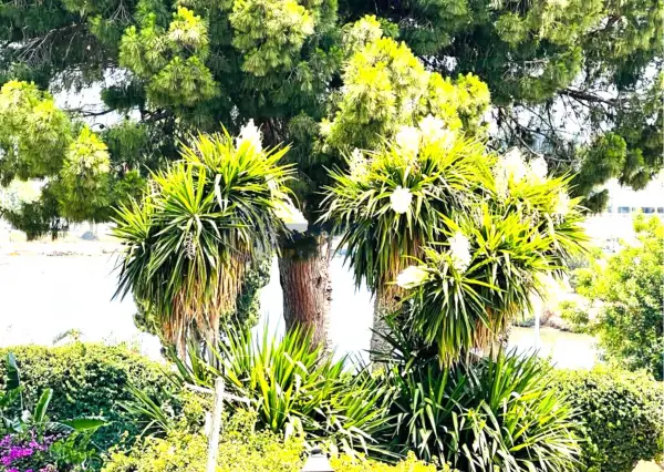 A louer un Etage de villa s+2 meublé à Carthage