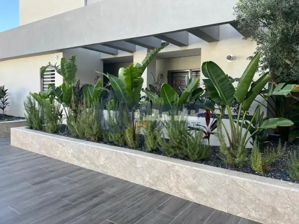 appartement S+3 à louer jamais habité