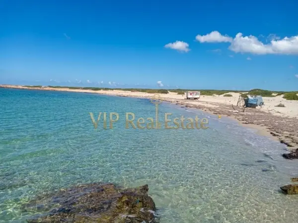 ???? À VENDRE – EXCEPTIONNEL TERRAIN AGRICOLE PIED DANS L’EAU À EL HAOUARIA ????