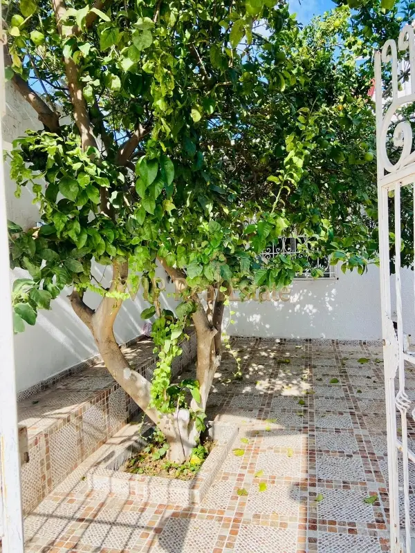 A louer un appartement s+2 avec terrasse à la Marsa Plage
